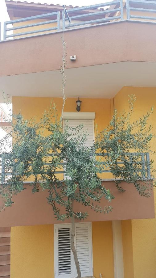 Apartmani Babic 杜基拉特 外观 照片